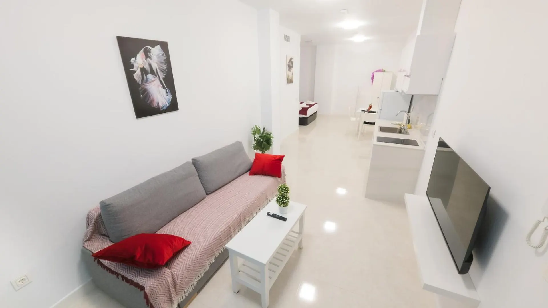 Rental San Luis Seville Apartment